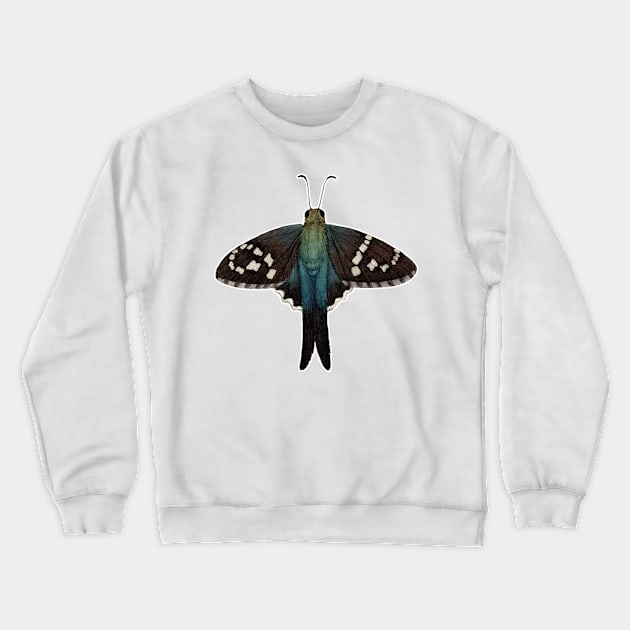 Long-tailed Skipper Crewneck Sweatshirt by JadaFitch